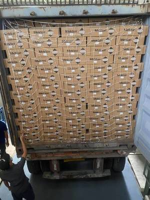 1K 항 자외선 가공 자동차 페인트 거친 흰 진주 색 빛나는 외관