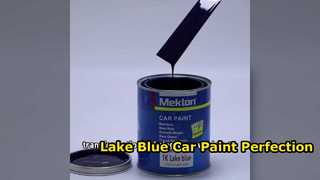 Lake Blue 자동차 페인트 수리 및 보수